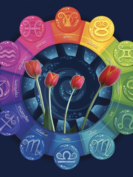 Zodiac Tulip New Moon